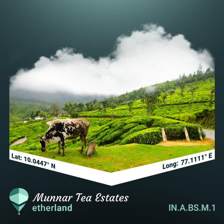 munnar tea estates